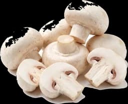 Champignons