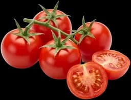 Tomates fraîches